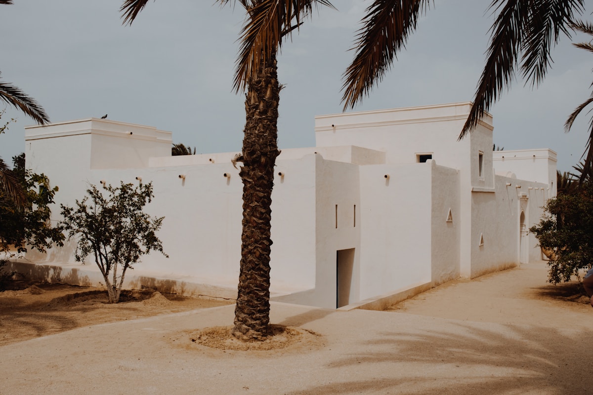 White architecture and palm trees in Nabeul, Cap Bon, Tunisia