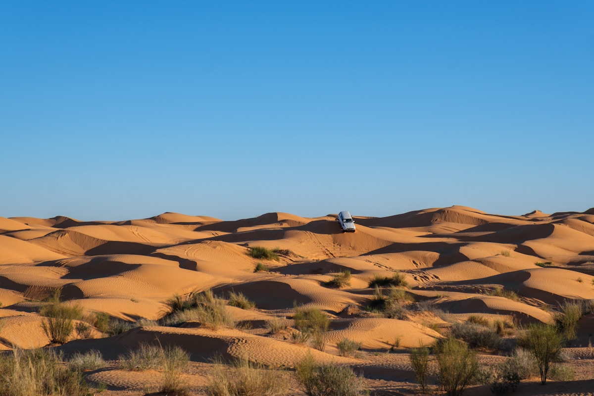 Golden sand dunes of the Grand Erg Oriental at Ksar Ghilane, Tunisia