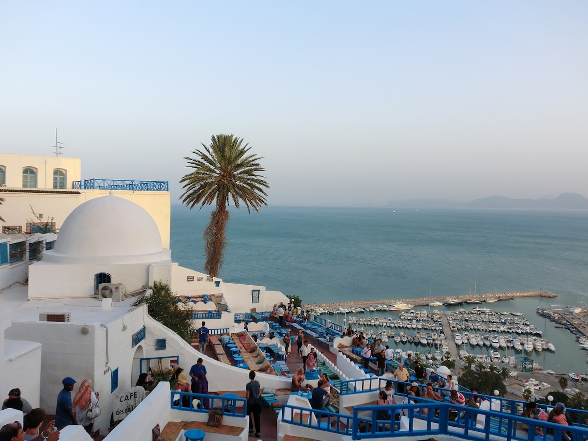 The iconic Café des Délices terrace in Sidi Bou Said overlooking the marina and Gulf of Tunis, Tunisia