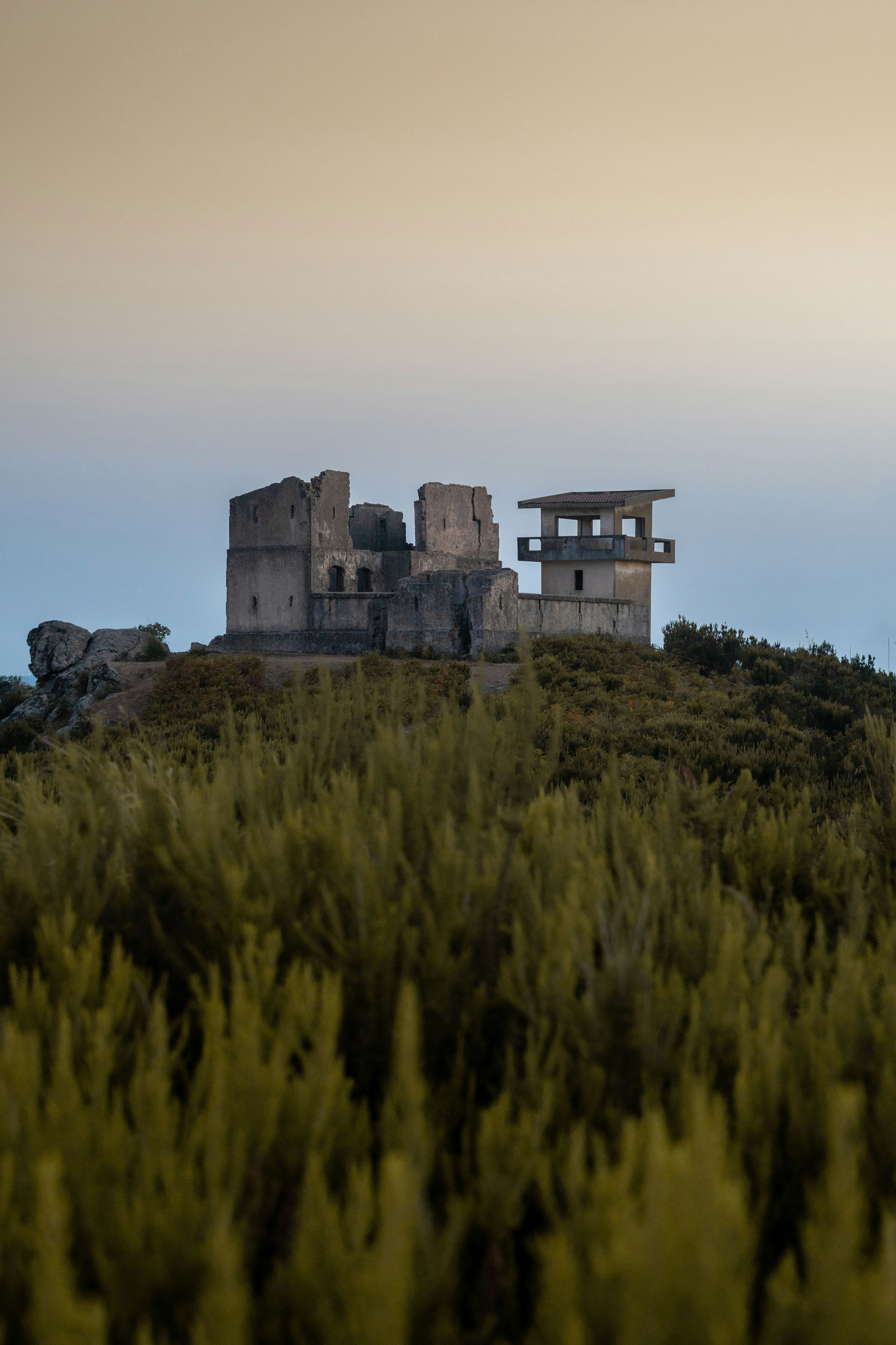 The forested hills and houses of Ain Draham in northern Tunisia