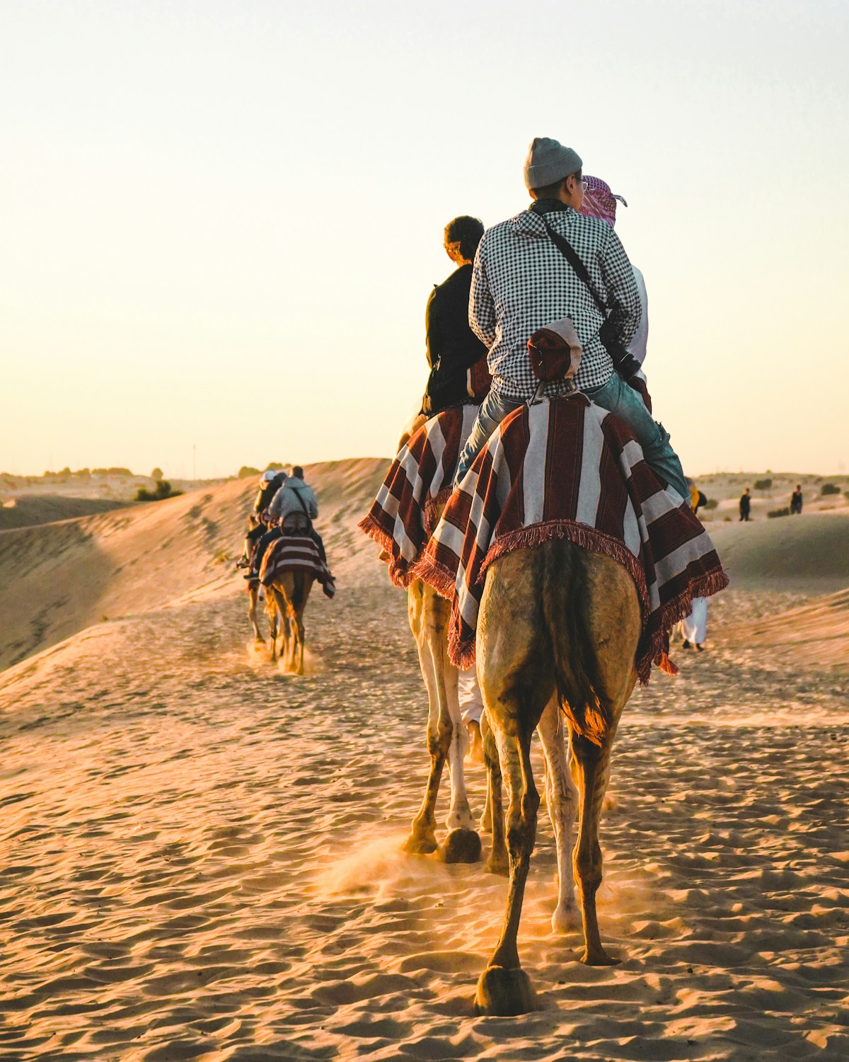 The best experiences across Tunisia from coast to desert