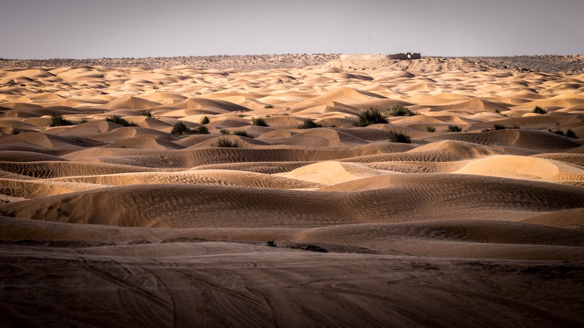 Desert landscape at Chott el Jerid, southern Tunisia