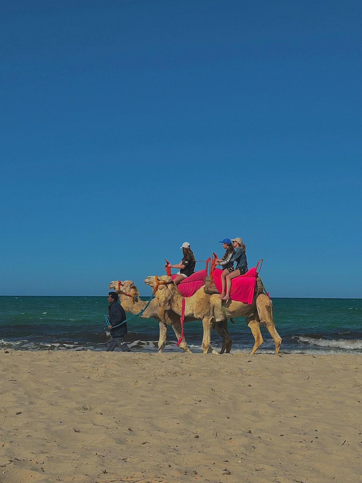 Tourists on camel rides along a sandy beach on Djerba island, Tunisia