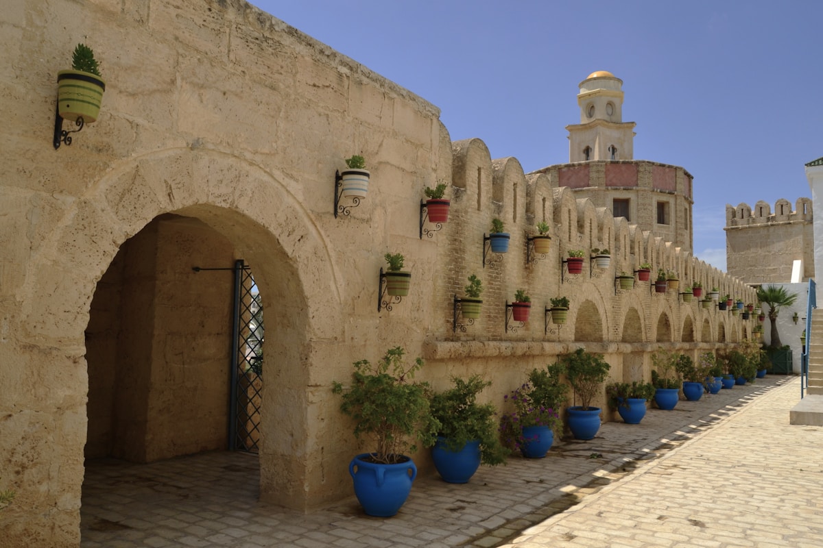 Stone medina wall lined with colourful potted plants at Yasmine Hammamet, Tunisia