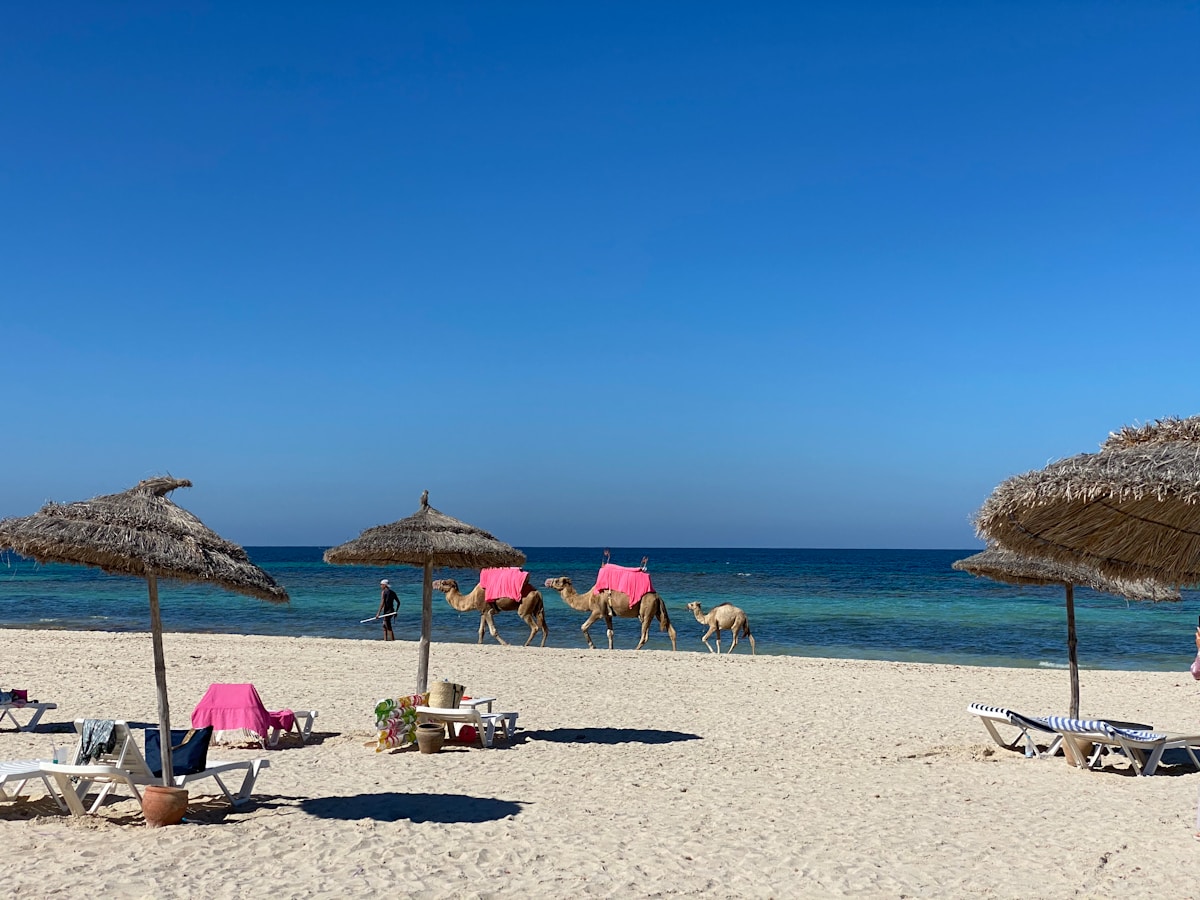Beach activities on Djerba island, Tunisia
