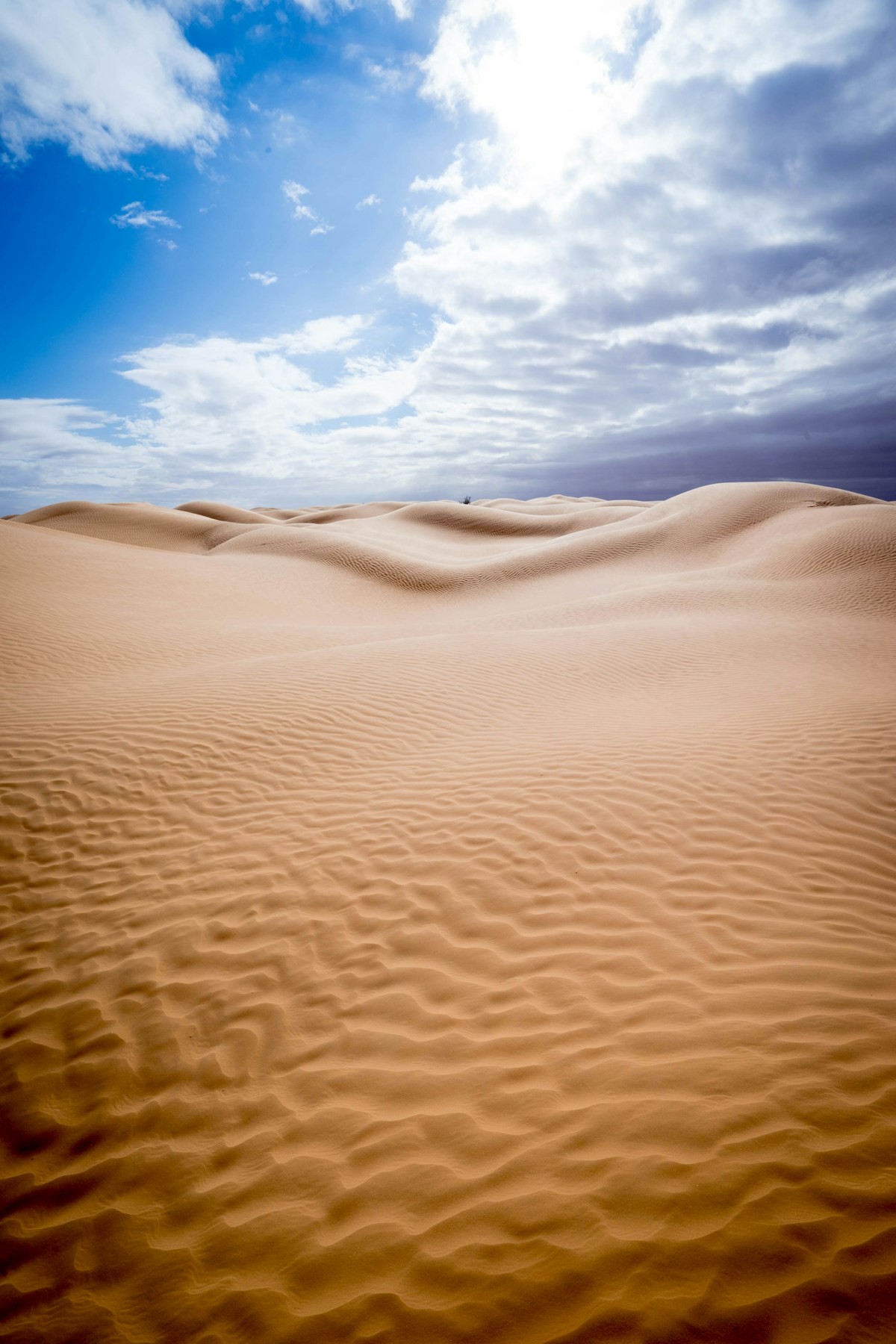 Desert landscape at Tozeur on the edge of the Sahara, Tunisia
