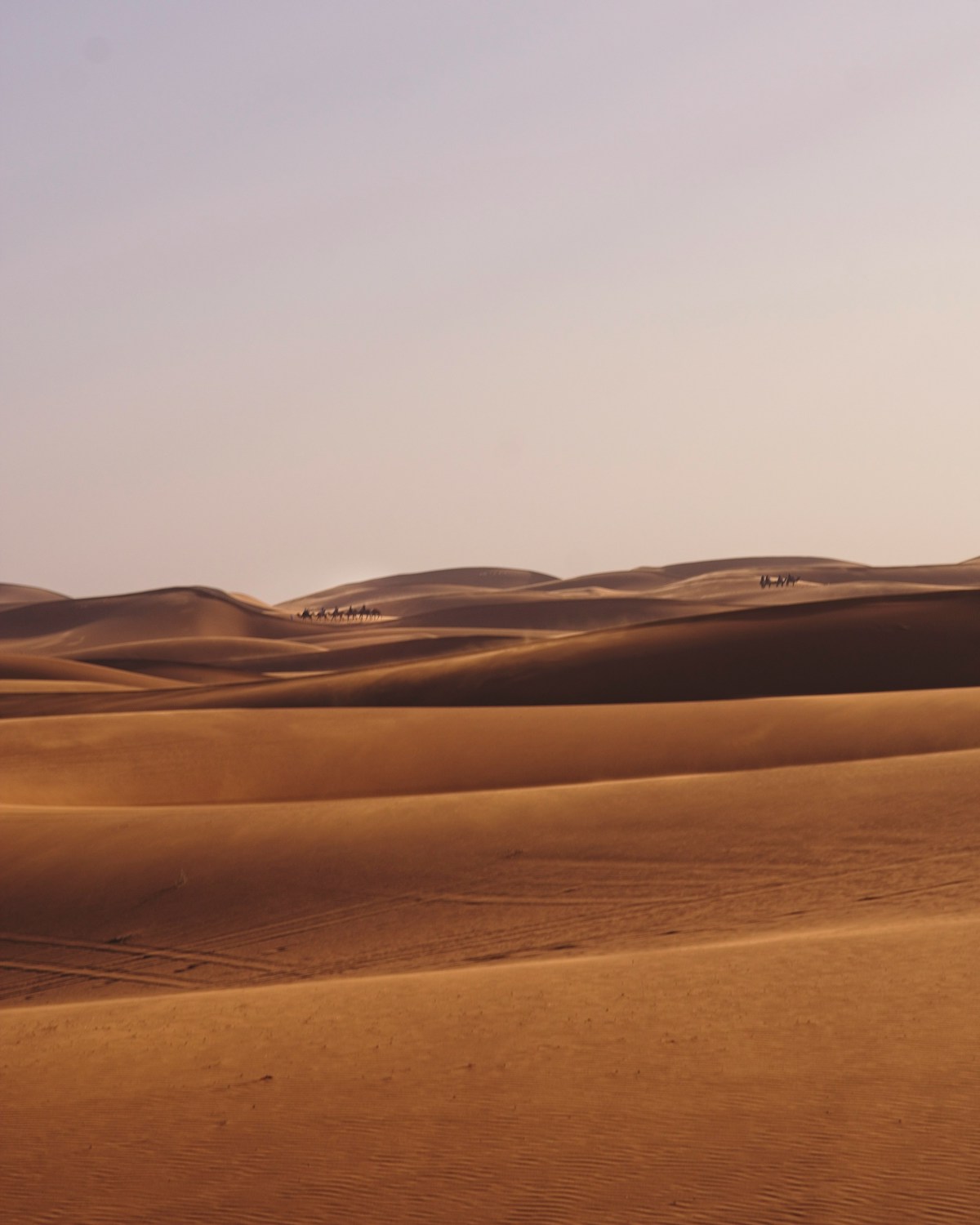 A Sahara desert tour from Tunis, Tunisia