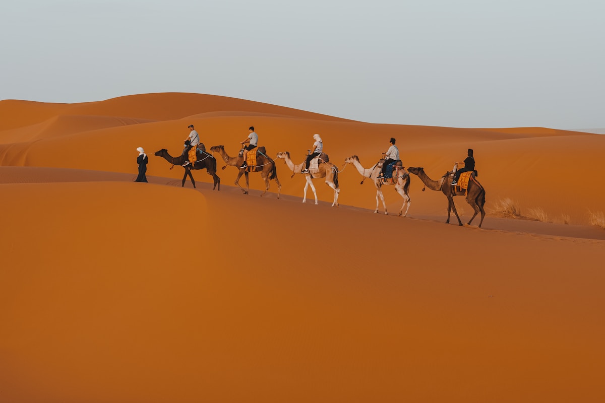 A camel trek through the open landscapes of southern Tunisia