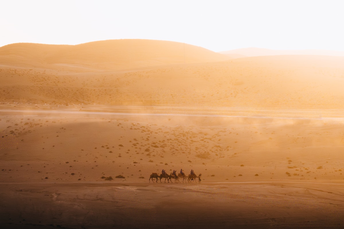 Vast sand dunes of the Sahara desert in Tunisia in October