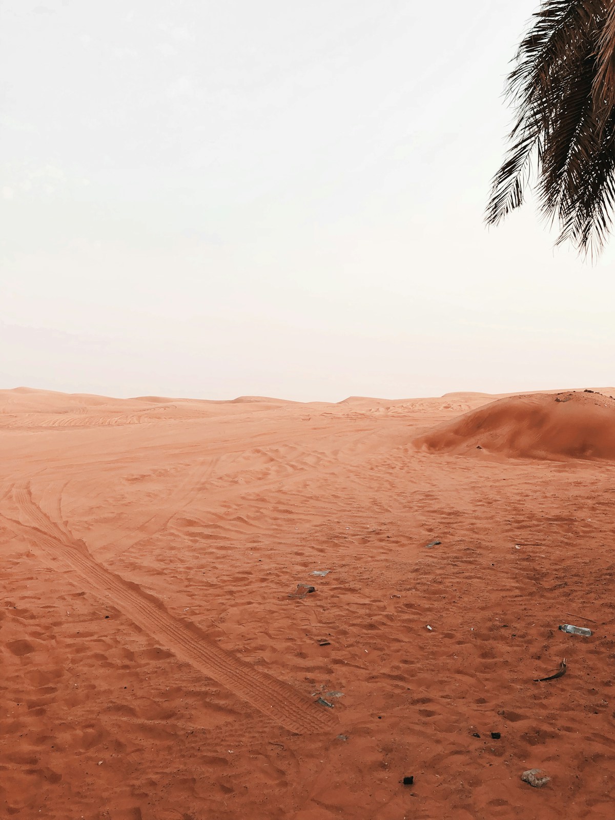 A camel ride in the Sahara — one of Tunisia's unmissable experiences