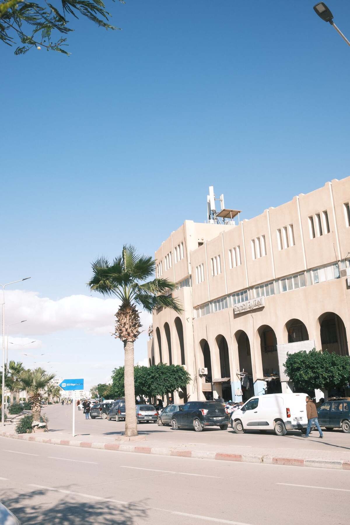 Rue ensoleillée bordée de palmiers à Sfax, Tunisie